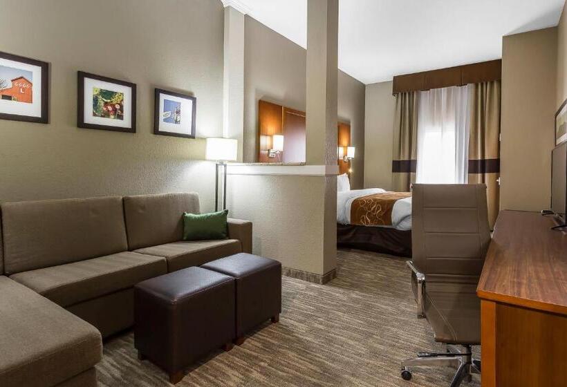 Отель Comfort Suites University