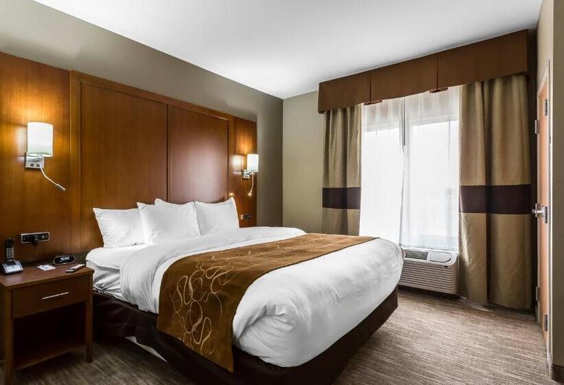 Отель Comfort Suites University