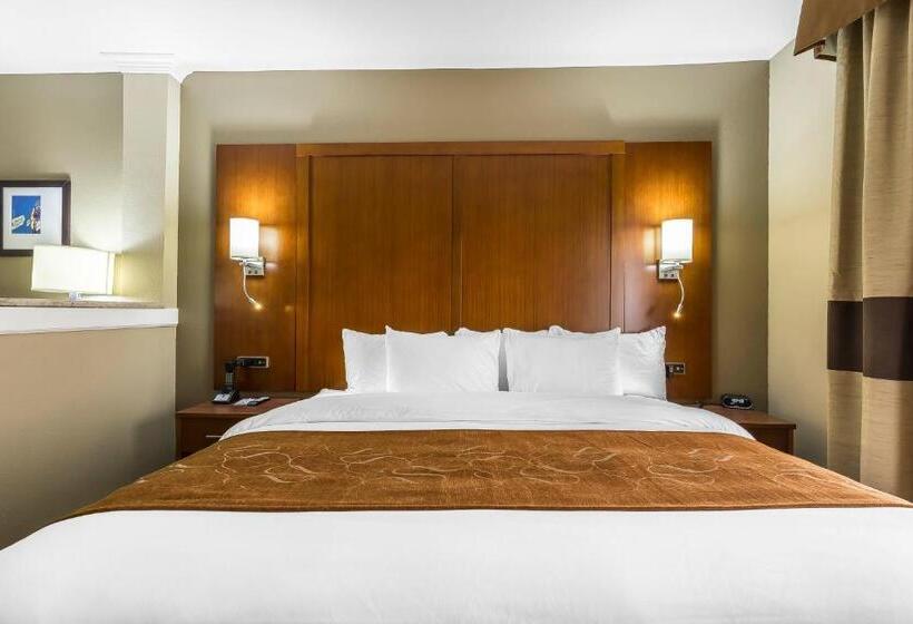 Отель Comfort Suites University