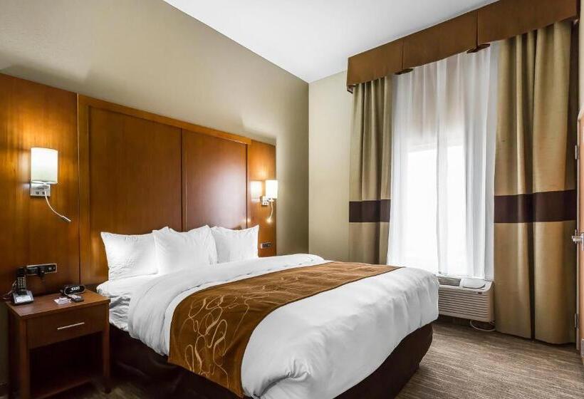 فندق Comfort Suites University