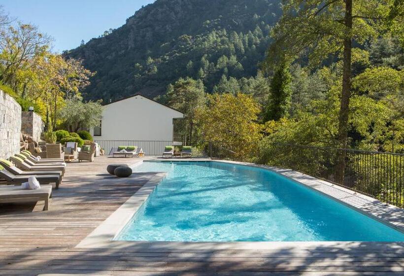 Отель Dominique Colonna