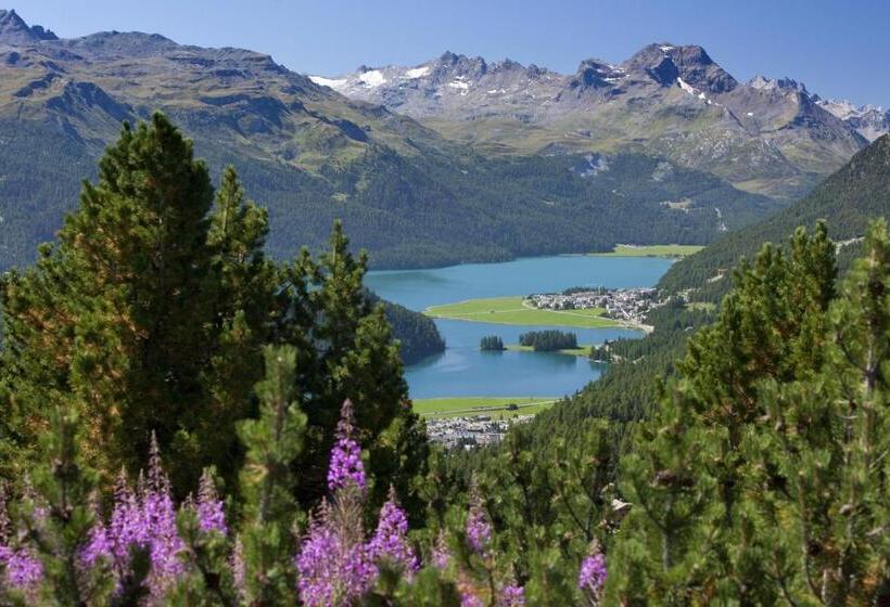 فندق Hostel By Randolins