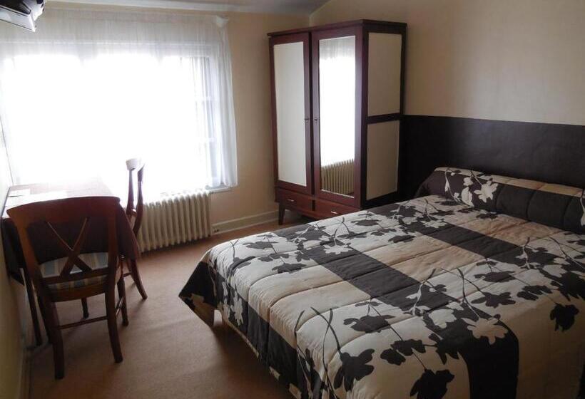 酒店 Hôtel Le Lion D'or