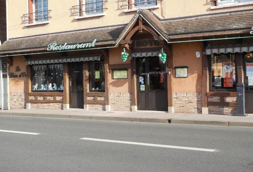 酒店 Hôtel Le Lion D'or