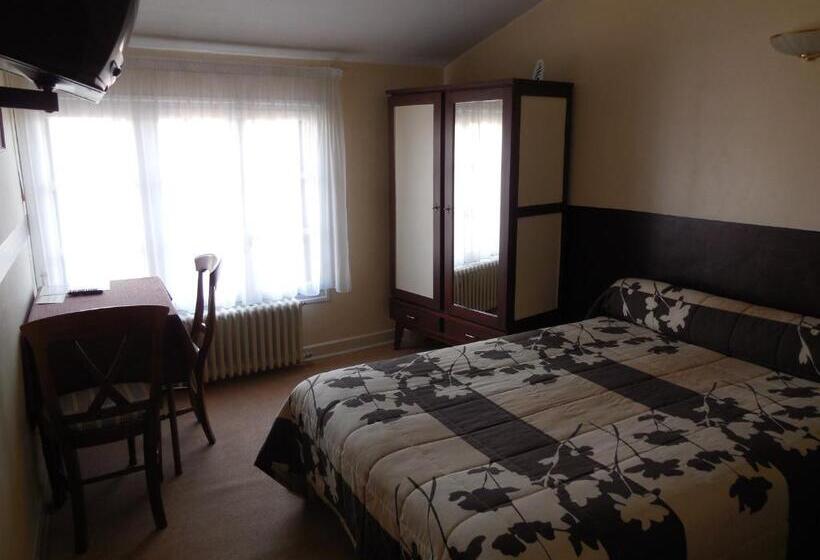 酒店 Hôtel Le Lion D'or