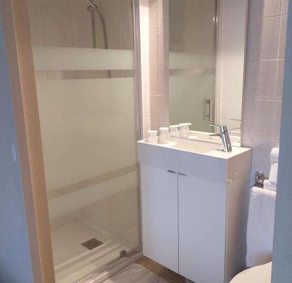 酒店 Hôtel Le Lion D'or