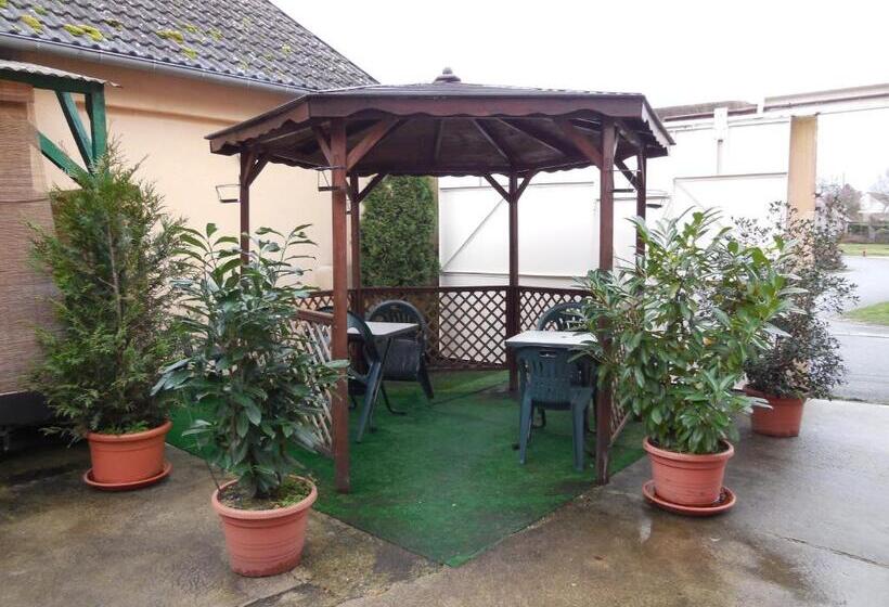 酒店 Hôtel Le Lion D'or