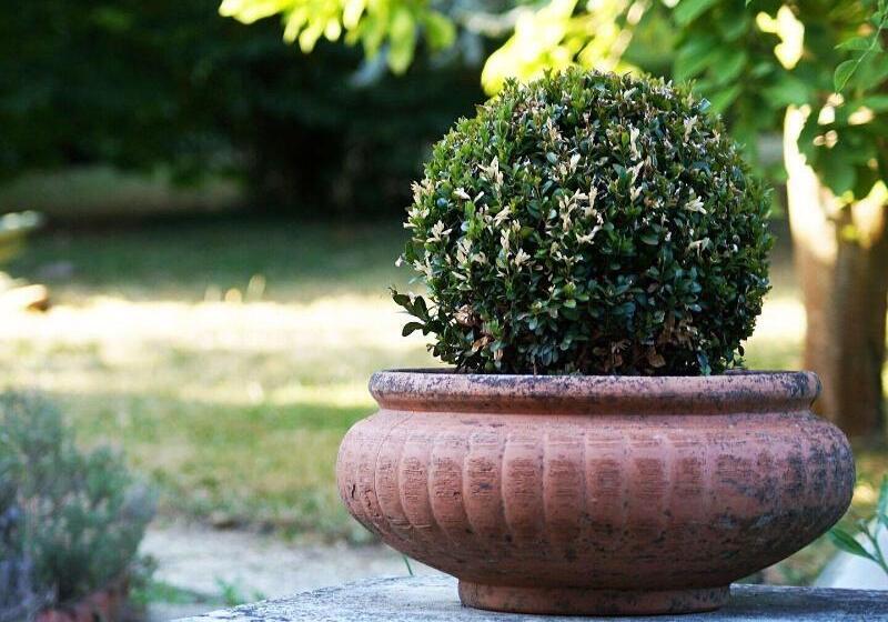 בית מלון כפרי La Salamandre