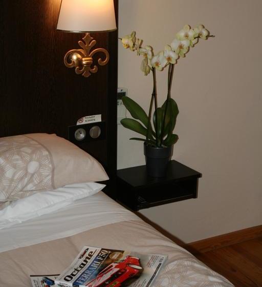 酒店 Hôtel Restaurant Les Deux Frères