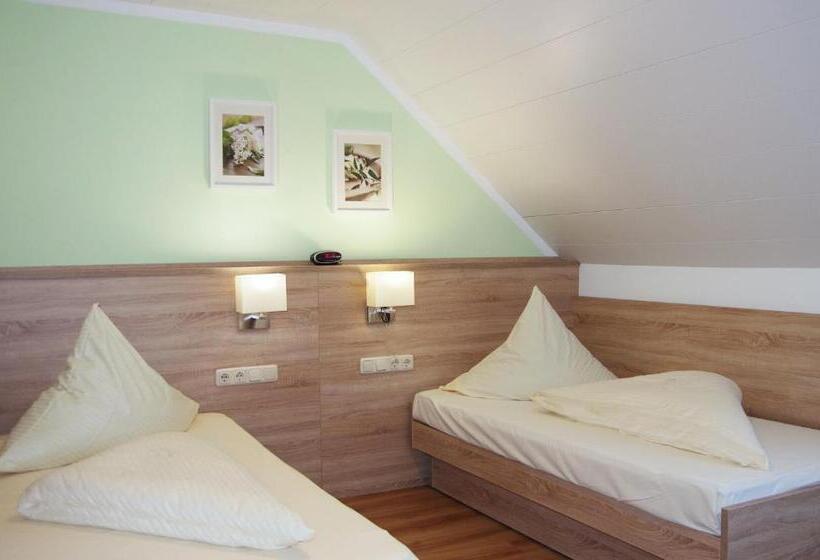 Отель Löwenhof