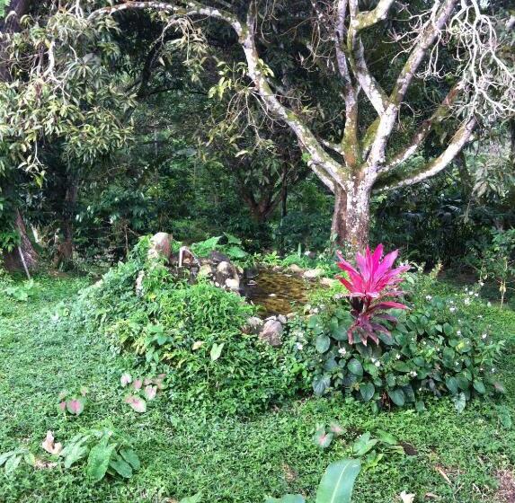 בית מלון כפרי Minca   La Casona