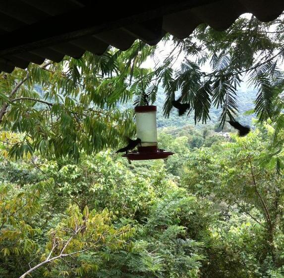 هتل Minca   La Casona