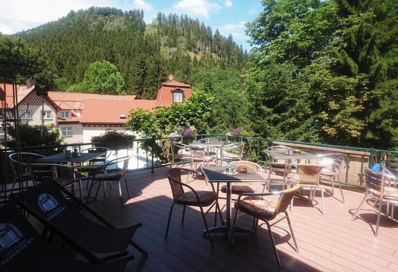 ホテル Pension Waldschlösschen