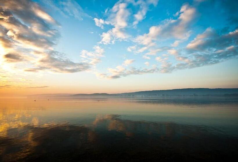 Отель Rheingold