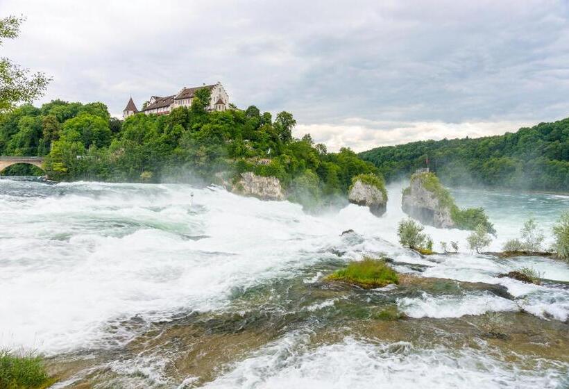 Отель Rheingold