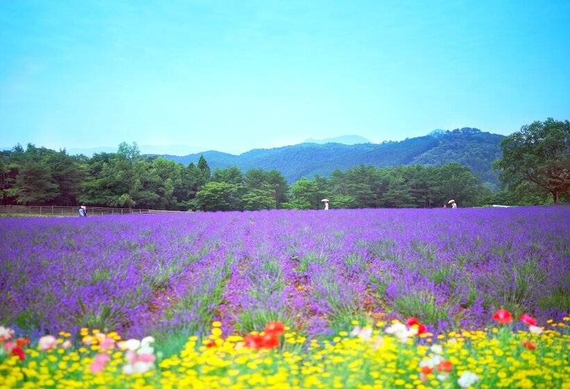 Menard Aoyama Resort Hotel Schönvert