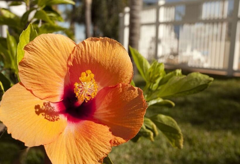 فندق The Inn At Fulton Harbor