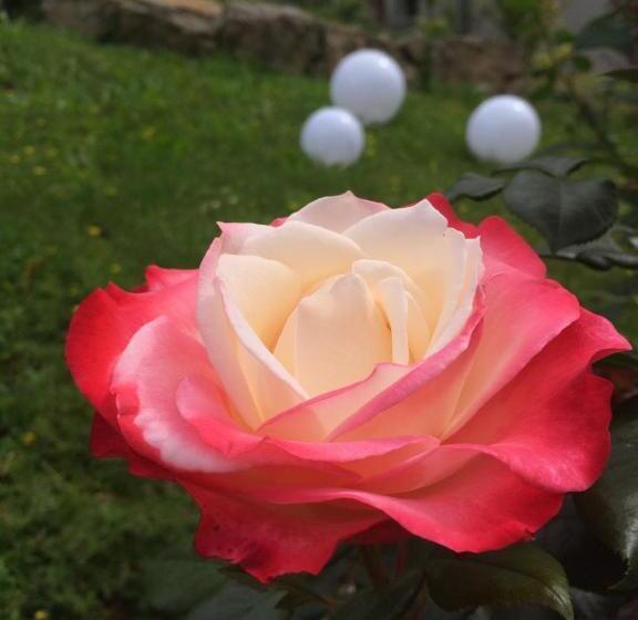 酒店 Traumparadies