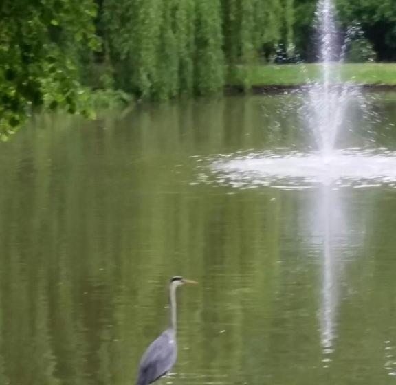 酒店 Traumparadies