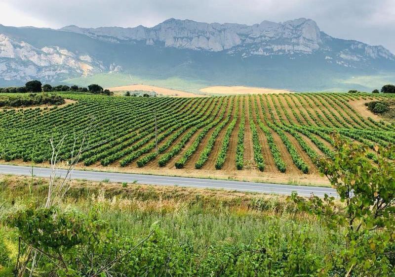 La Casona De Alútiz & Bodega