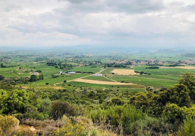 La Casona De Alútiz & Bodega