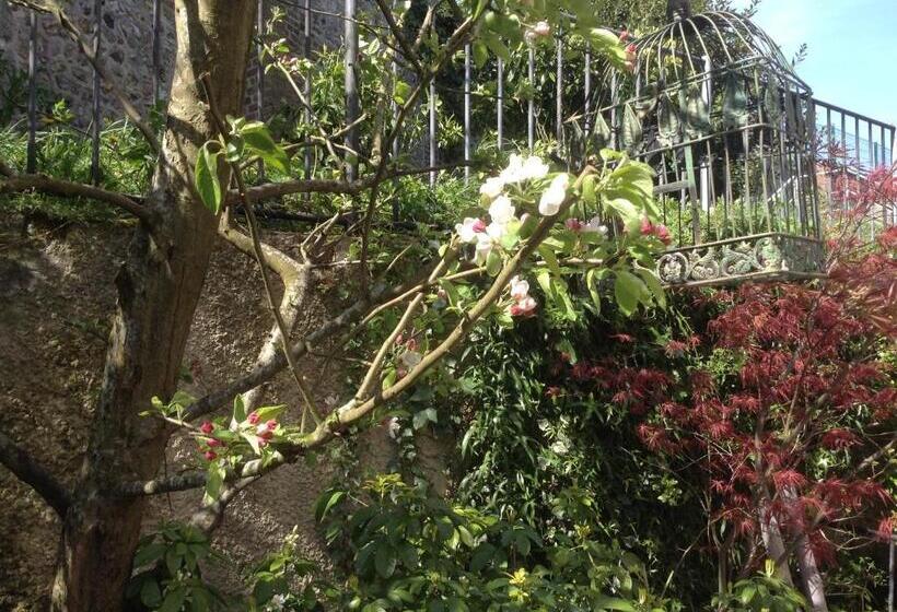 La Maison Du Phare De Honfleur Chambre D Hôtes B&b  Jacuzzi   Shabby Chic