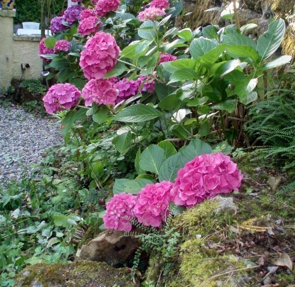 Moulin De Cornevis Bed And Breakfast