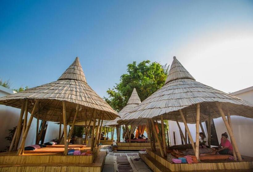 Paradise Resort Phi Phi Sha Plus