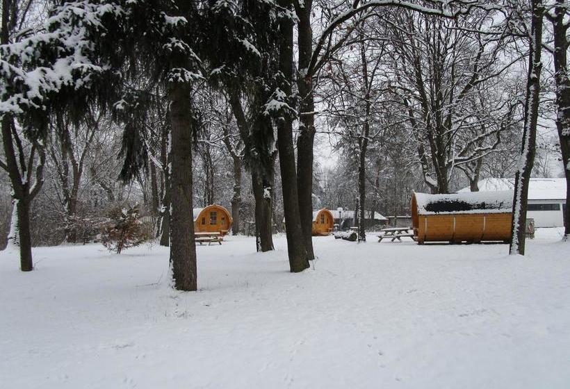 منتجع Azur Waldcamping Auwaldsee