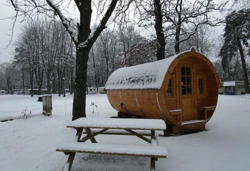 리조트 Azur Waldcamping Auwaldsee