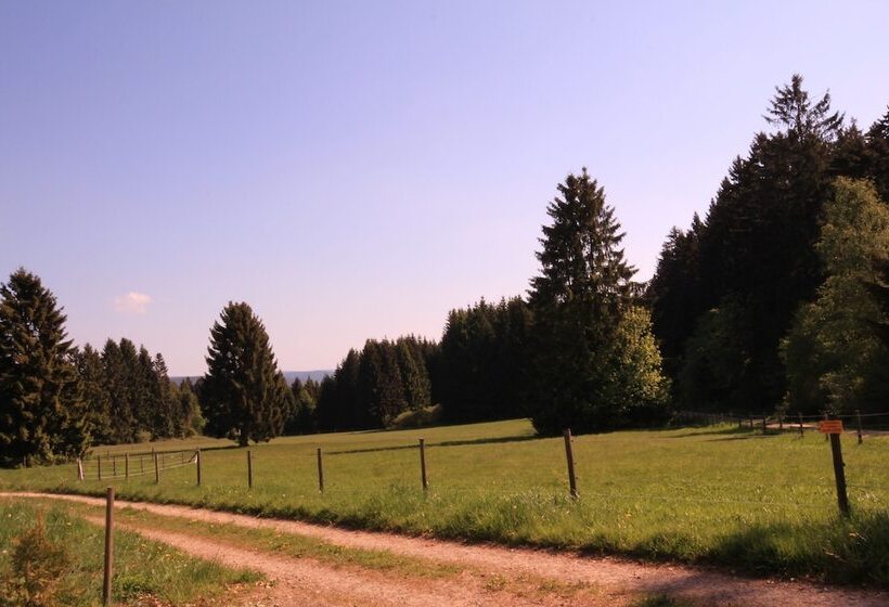 리조트 Waldgasthaus Am Schwarzenbruch