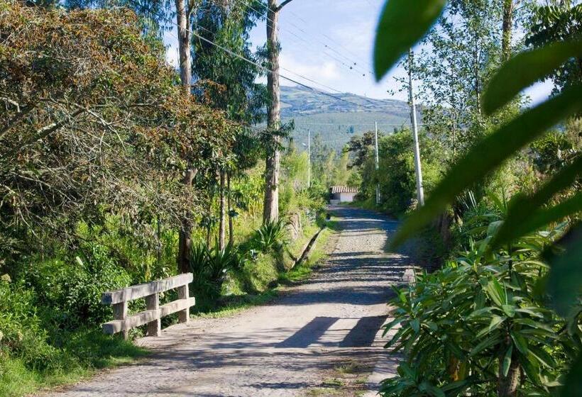 هاستل Kallpa Wasi