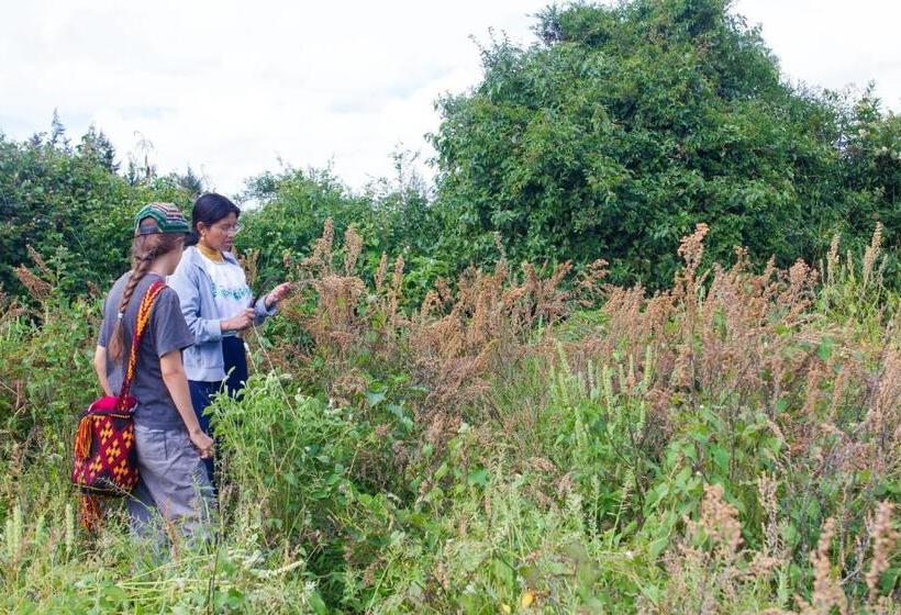 هاستل Kallpa Wasi