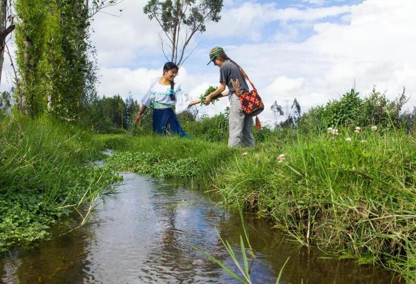 هاستل Kallpa Wasi