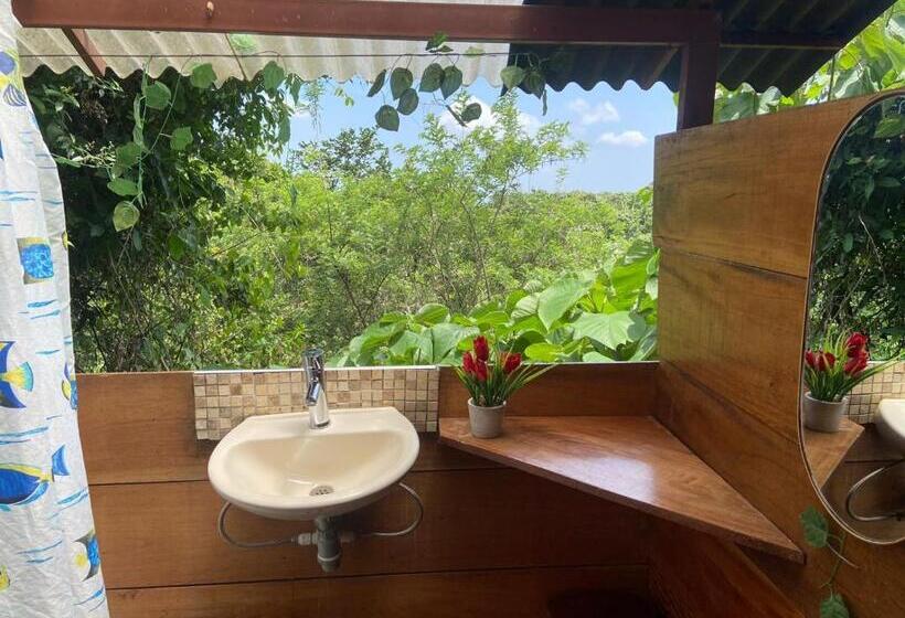 تختخواب و صبحانه Colibri Hostal Minca Santa Marta