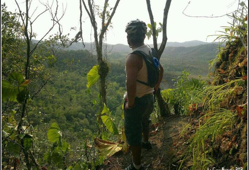 La Casa Naranja Bed And Breakfast