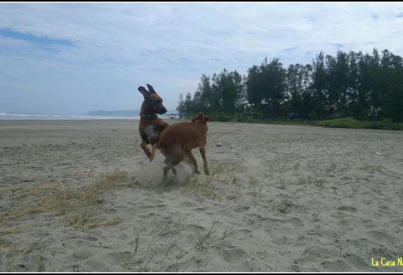 La Casa Naranja Bed And Breakfast