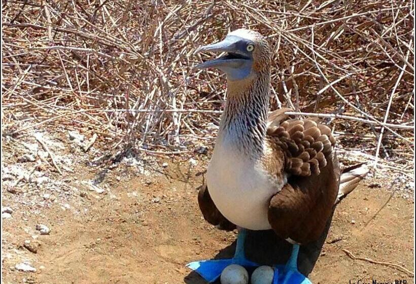 La Casa Naranja Bed And Breakfast