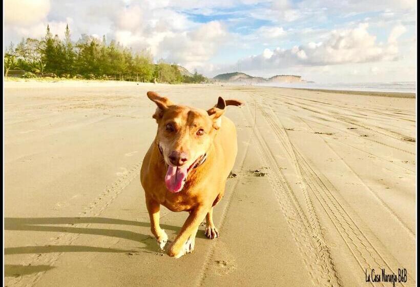 La Casa Naranja Bed And Breakfast