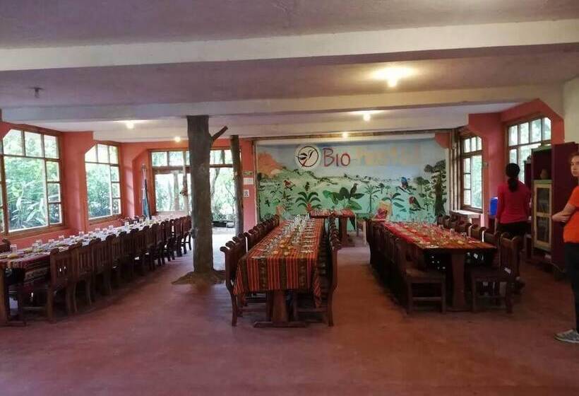 Biohostal Mindo Cloud Forest