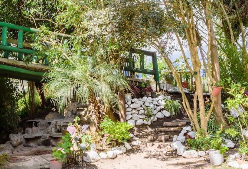 簡易ホテル Hosteria Colibri Aeropuerto