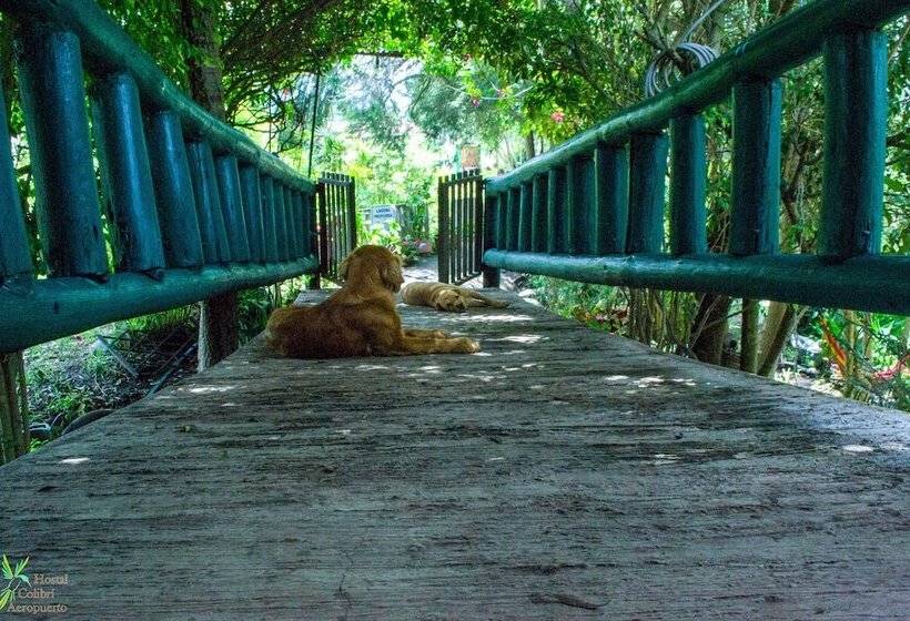 簡易ホテル Hosteria Colibri Aeropuerto