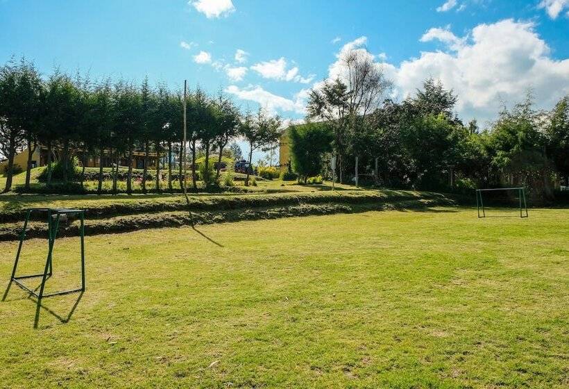 مسافرخانه Hosteria Colibri Aeropuerto