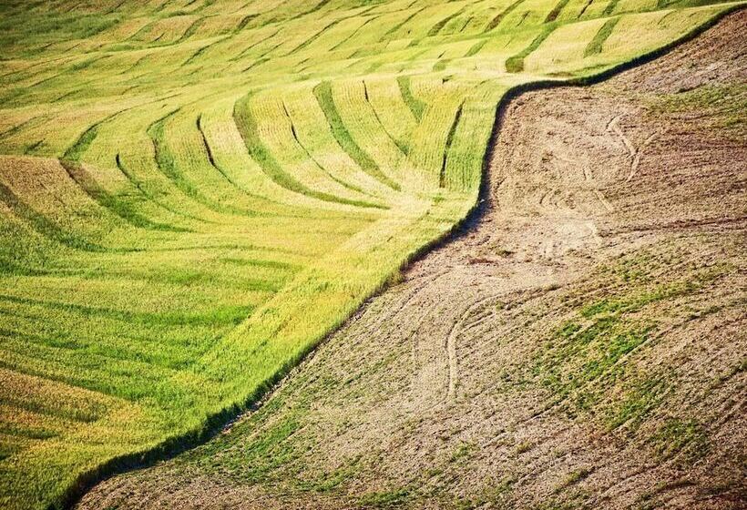 Отель Agriturismo La Buca Di Bellugi