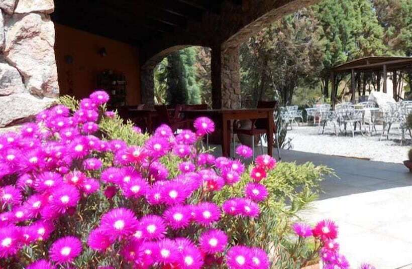 Отель Agriturismo Rocce Bianche   Bungalows