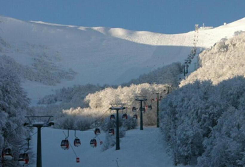 Отель Albergo Eden