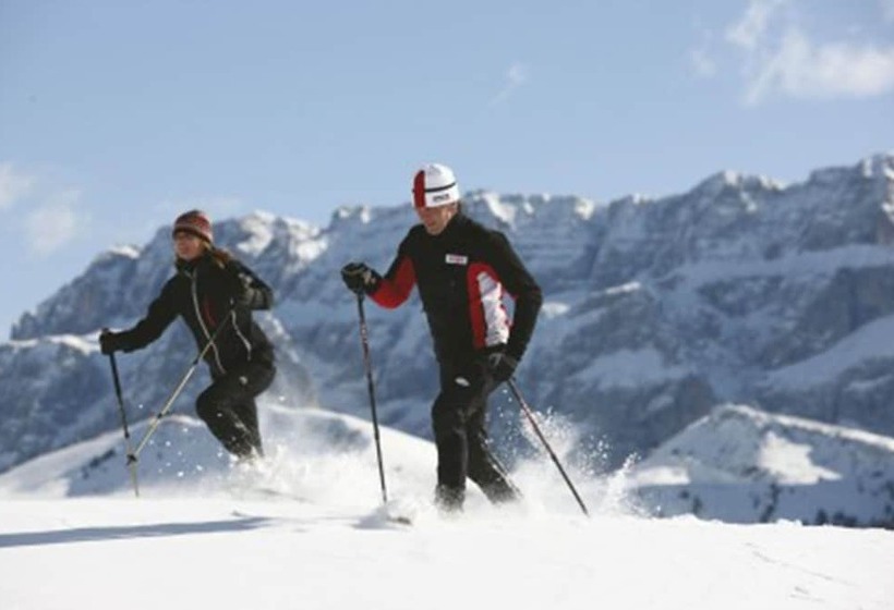 בית מלון כפרי Alpin Stile