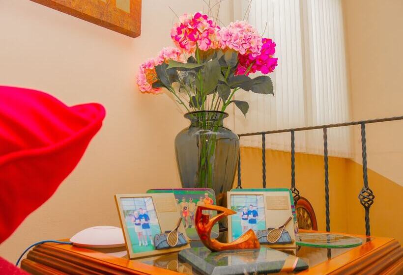 فندق Bamboo Aeropuerto