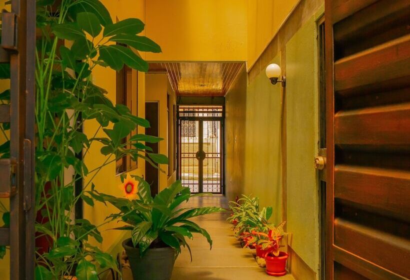 فندق Bamboo Aeropuerto