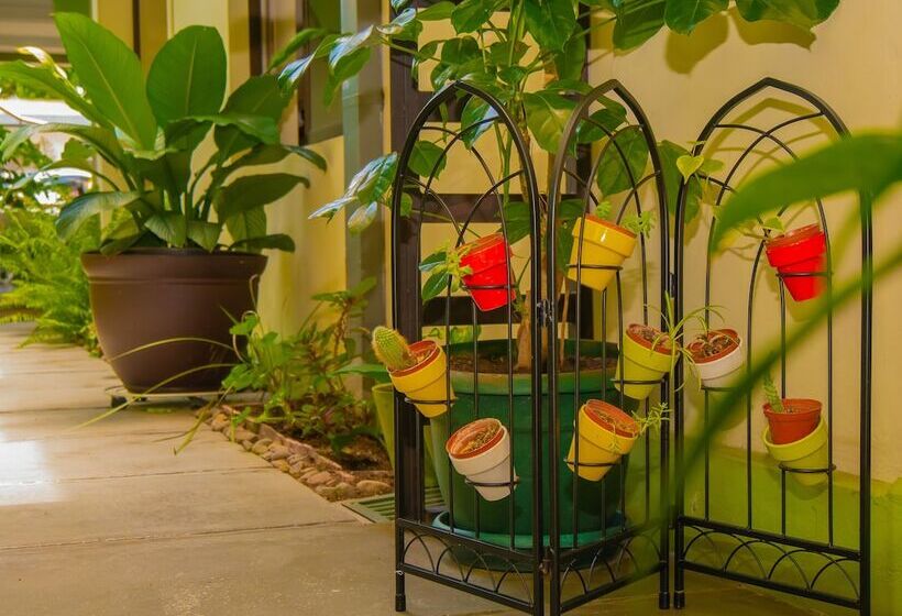 فندق Bamboo Aeropuerto